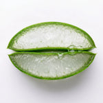 Macro close-up of a freshly sliced aloe vera leaf revealing its clear, hydrating gel on a white background, a soothing botanical ingredient for BOTANĒ. thumbnail 7
