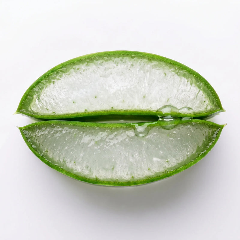 Macro close-up of a freshly sliced aloe vera leaf revealing its clear, hydrating gel on a white background, a soothing botanical ingredient for BOTANĒ. product image